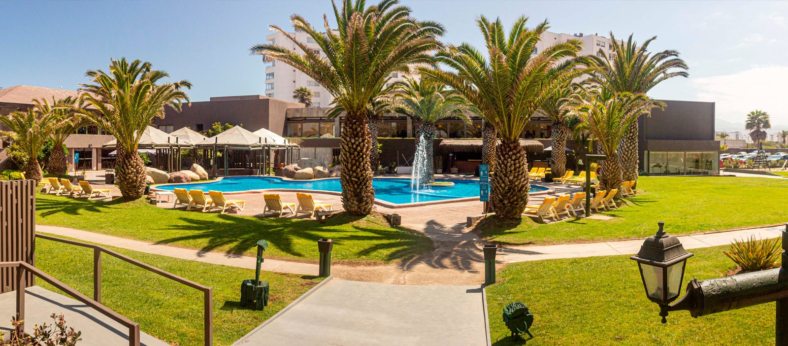 vista piscina  con palmeras y areas verdes en un hotel