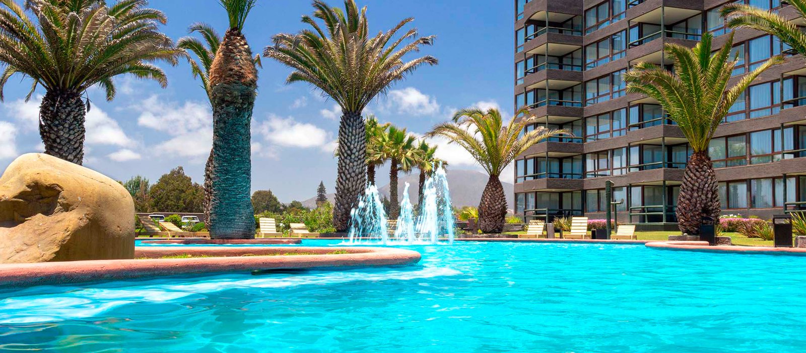 Vista piscina con palmeras  en un hotel